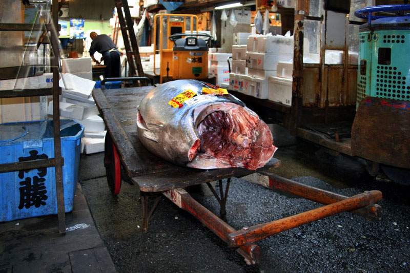 Fischmarkt Tokyo