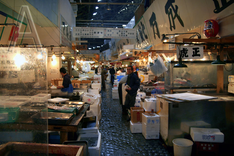 Fischmarkt Tokyo